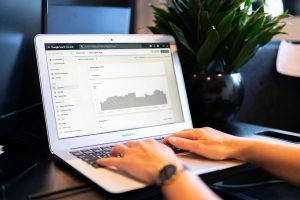 SEO specialist Westland